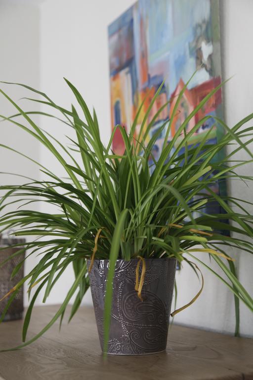 Aux Herbes Folles Herve Εξωτερικό φωτογραφία
